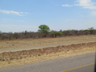 Midway from Francistown to Gaborone, Botswana 2013