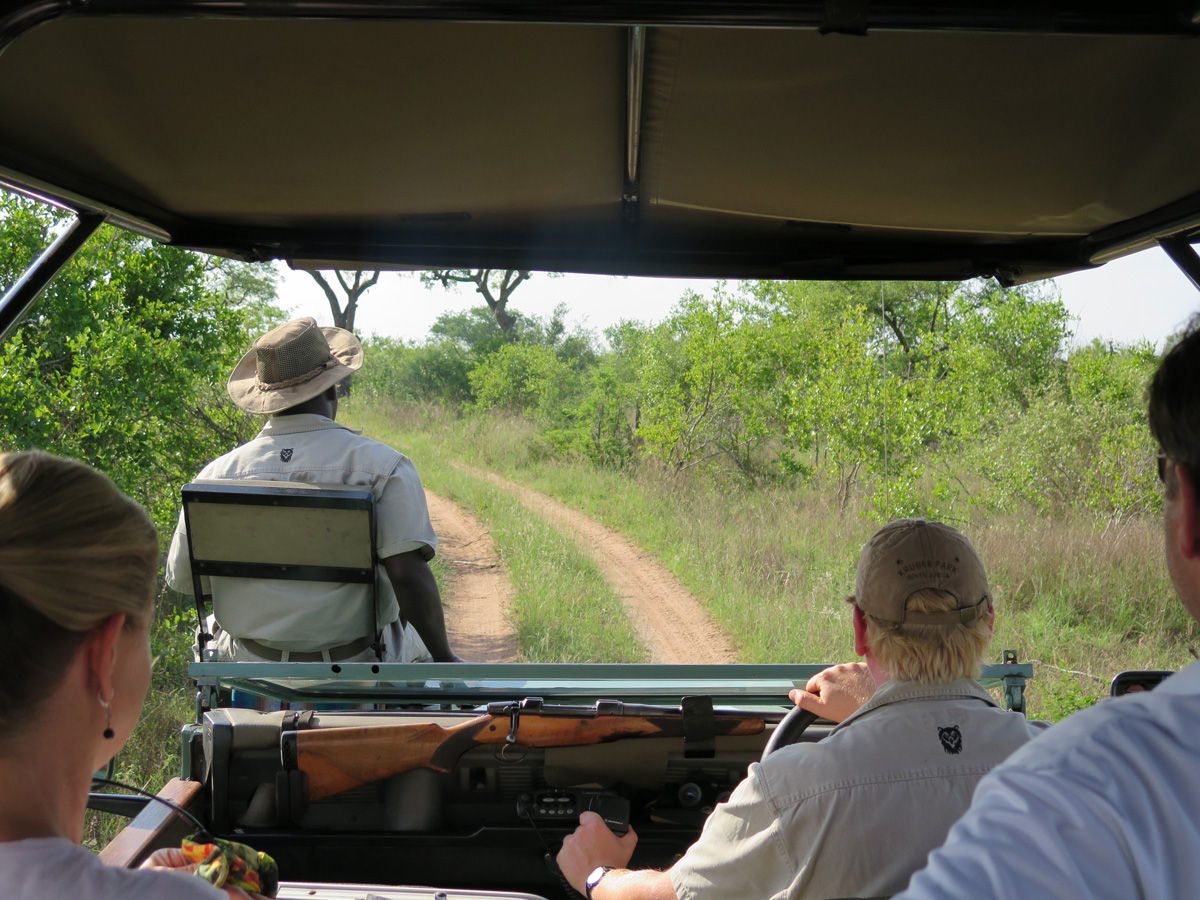 Kruger, The view from the back.