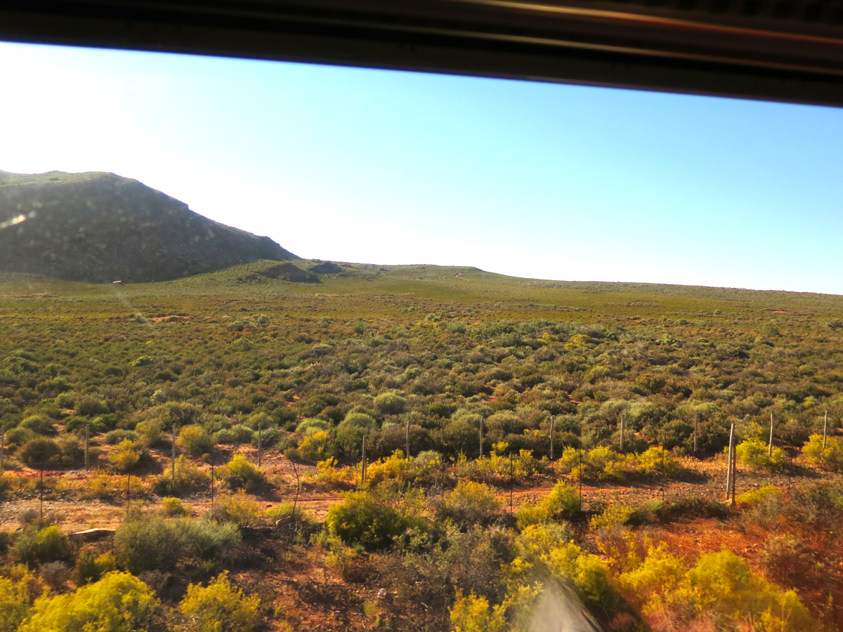 Blue Train, 61 miles East of Cape Town