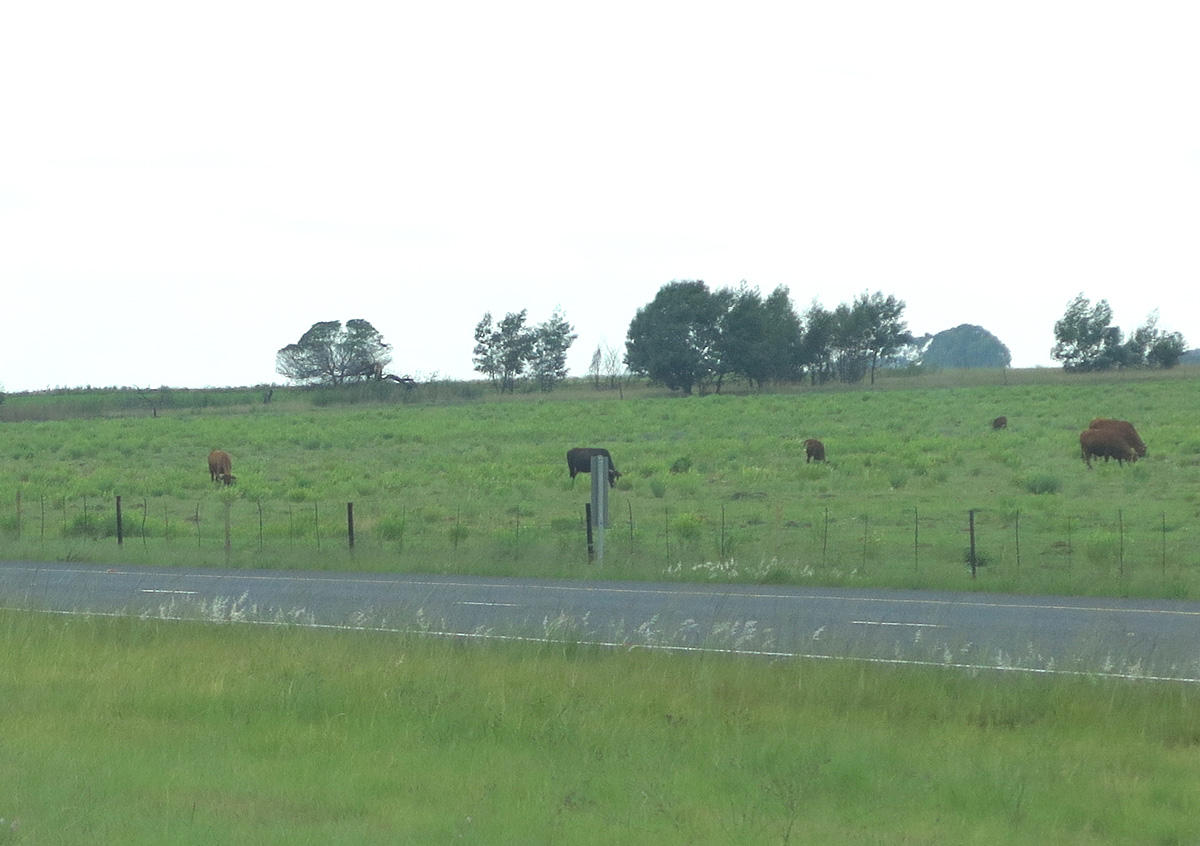Swaziland, Rich SA farmland, midway to Swaziland