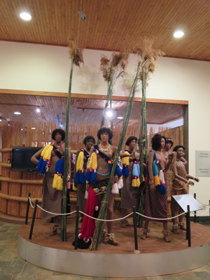 Young ladies carrying reed bundles, Swaziland, Swaziland & Mozambique 2013