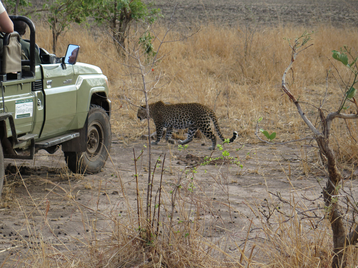 South Luangwa