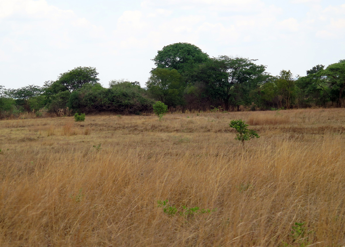 Lusaka, 100 miles SW of Lusaka