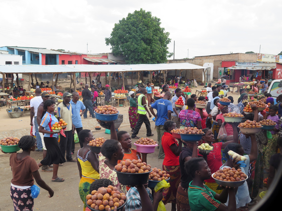 Lusaka, Small town bus stop Market vendors swarm our bus!