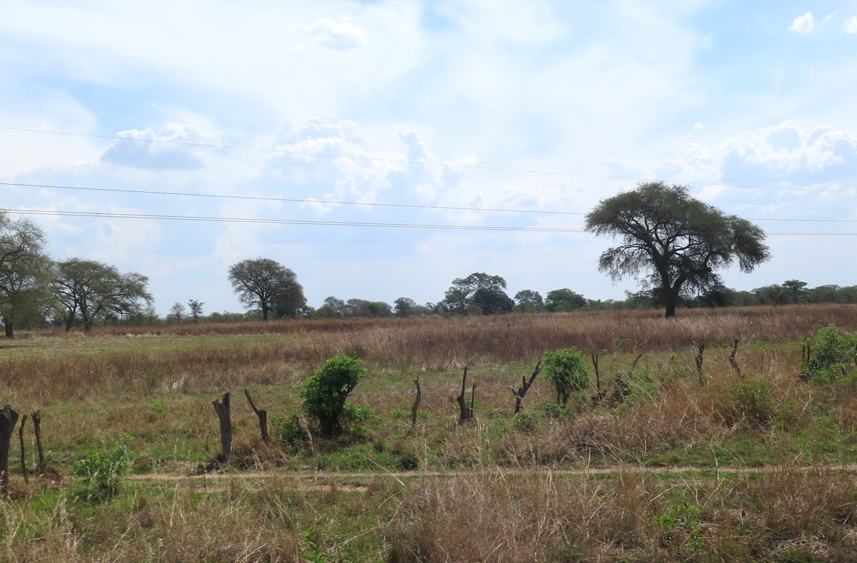 Lusaka, 30 miles North of Victoria Falls