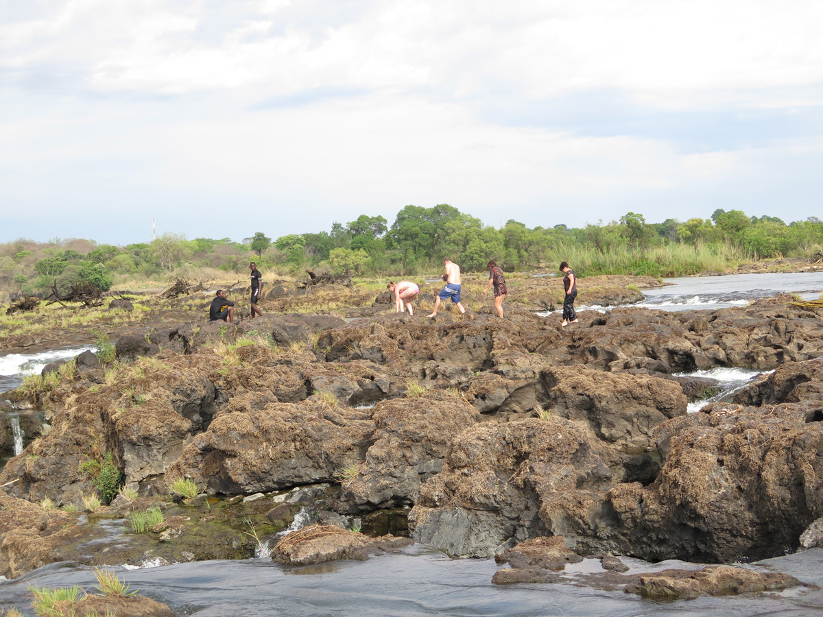 Livingstone Island, Intrepid VF pool swimmers