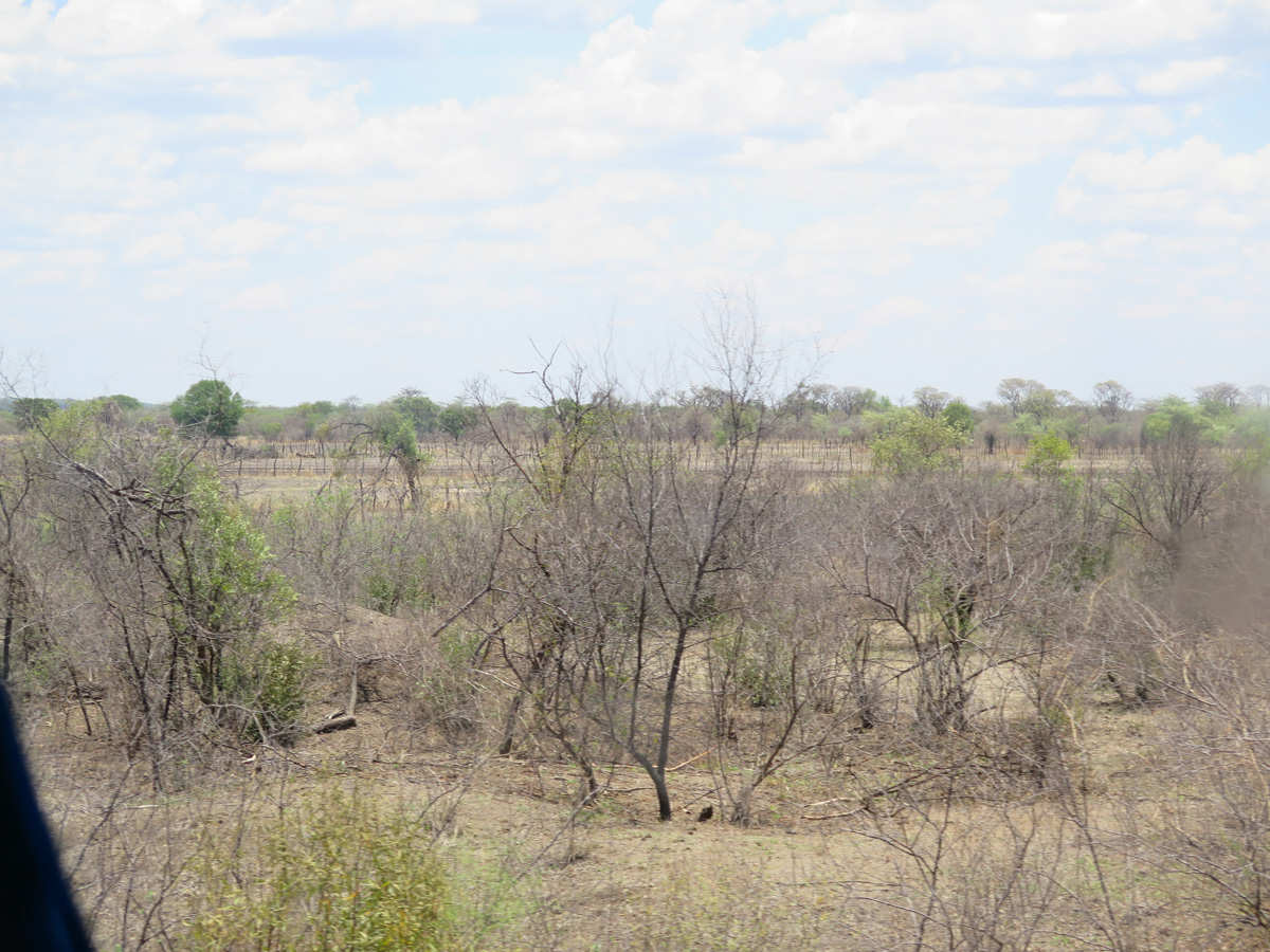 Bulawayo, Just North of Bulawao