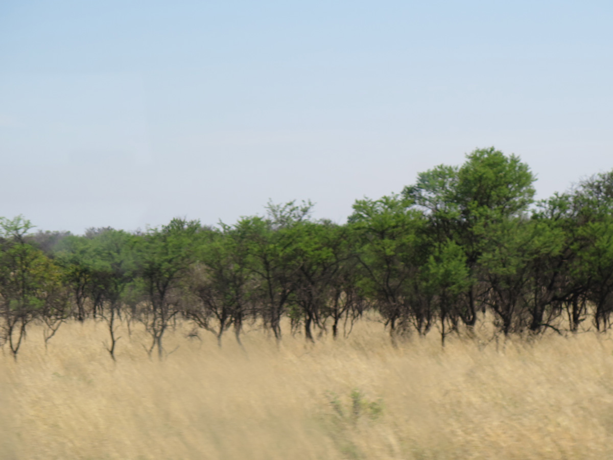 Bulawayo, Halfway to Harare