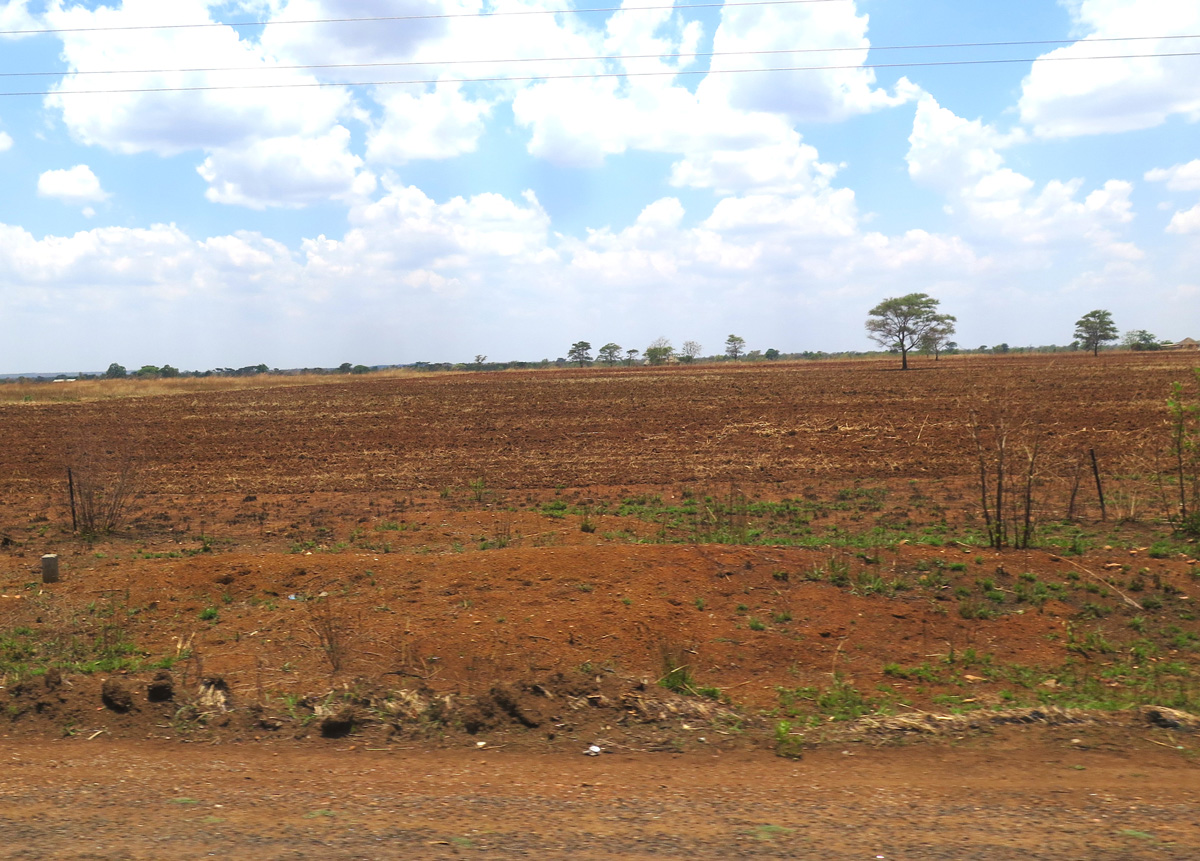 Bulawayo, 21 miles West of Hararare