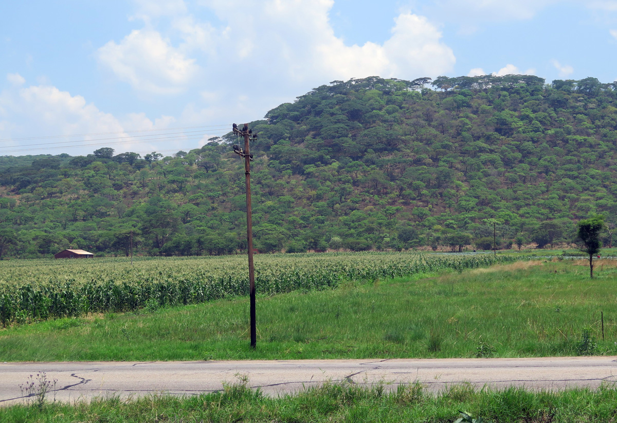 Bulawayo, Just West of Harare