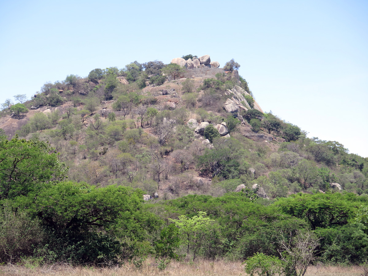 Hilltop Complex, Hilltop Complex (2)