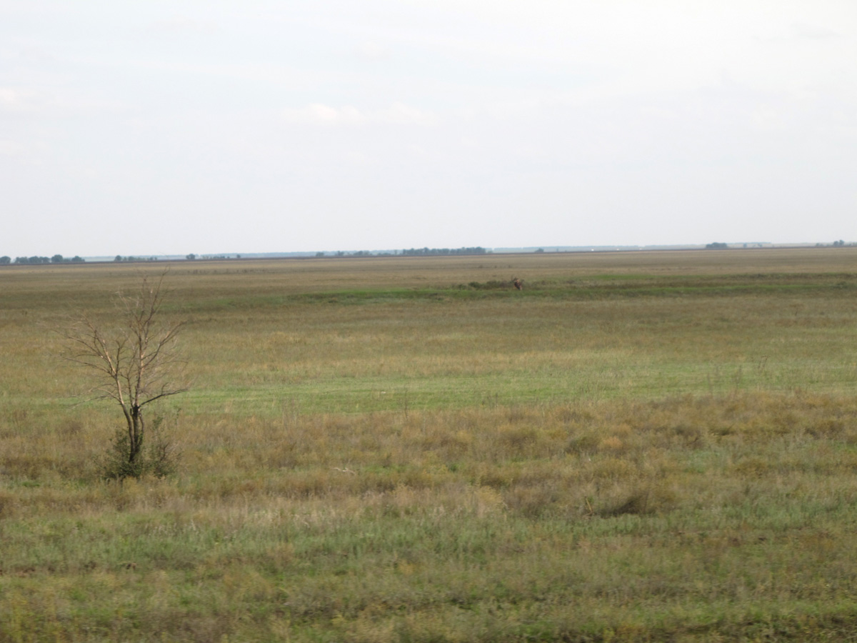 Around Saratov, Saratov-Makhachkala
