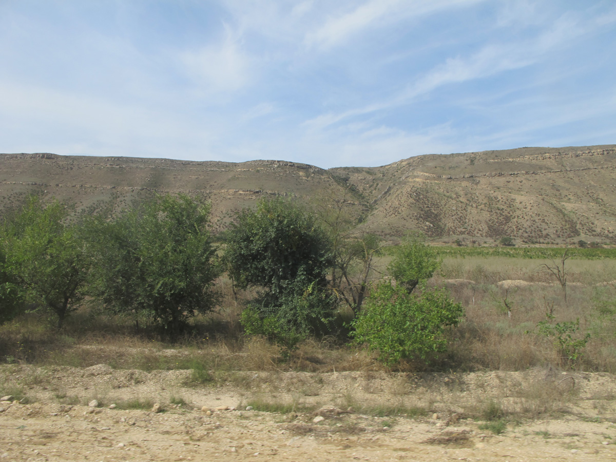 Makhachkala, 29 miles NW of Derbent