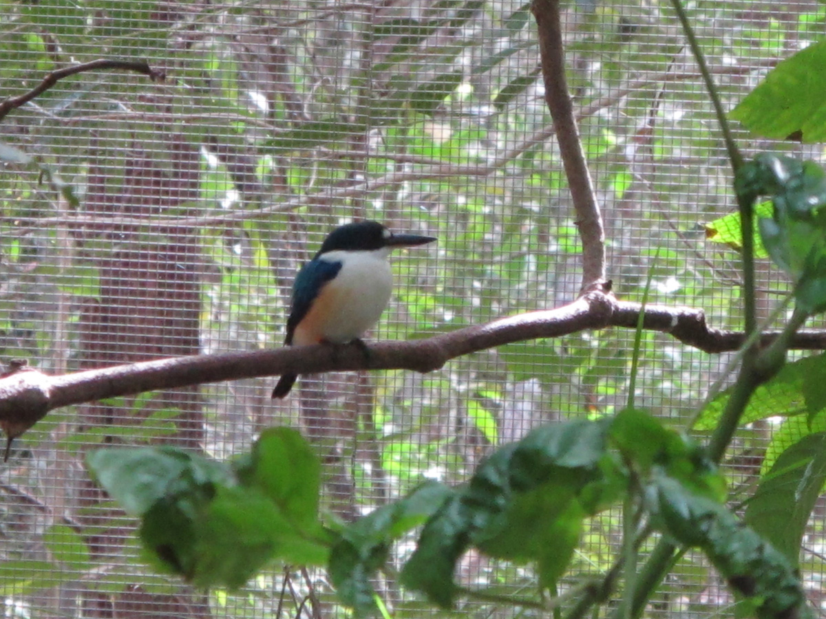 Northern Territory Wildlife Park