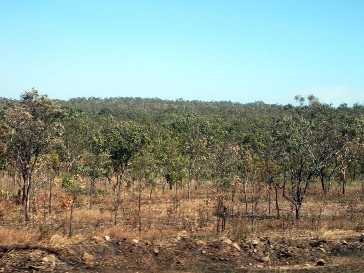 Ghan, 107 miles SE of Darwin