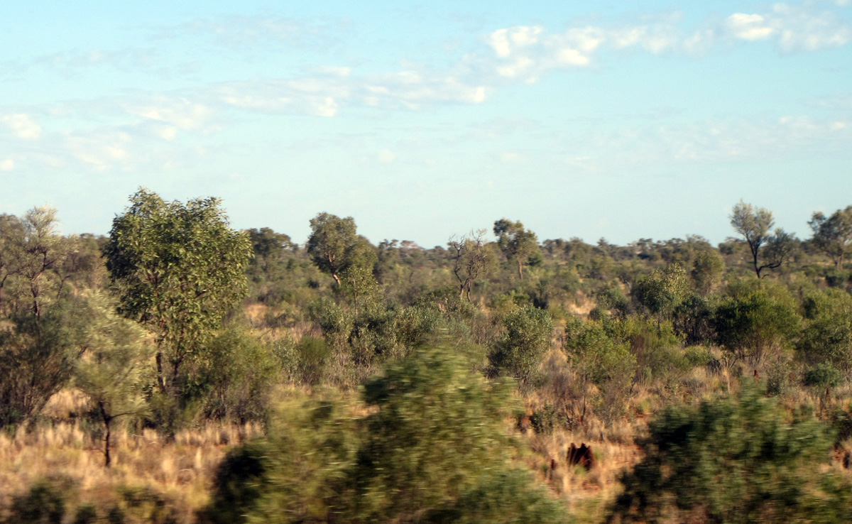 Ghan, 80 miles North of Alice Springs