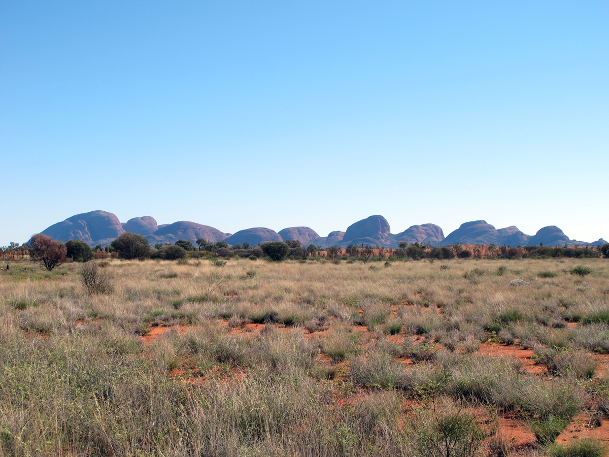 The Olgas, Distant Olgas