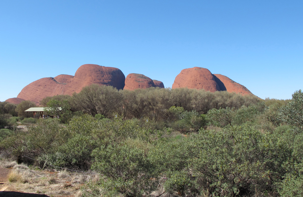 The Olgas, The Olgas