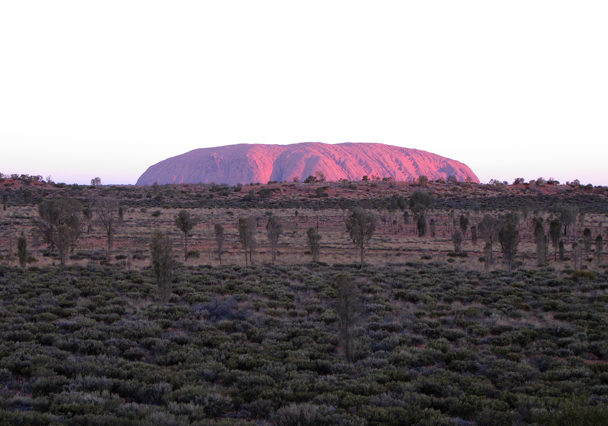 Sunset Camel Tour, GOR at Sunset