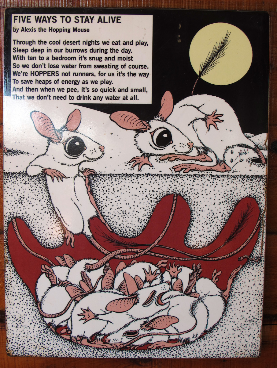 Alice Springs Desert Park, Hopping Mouse Propaganda
