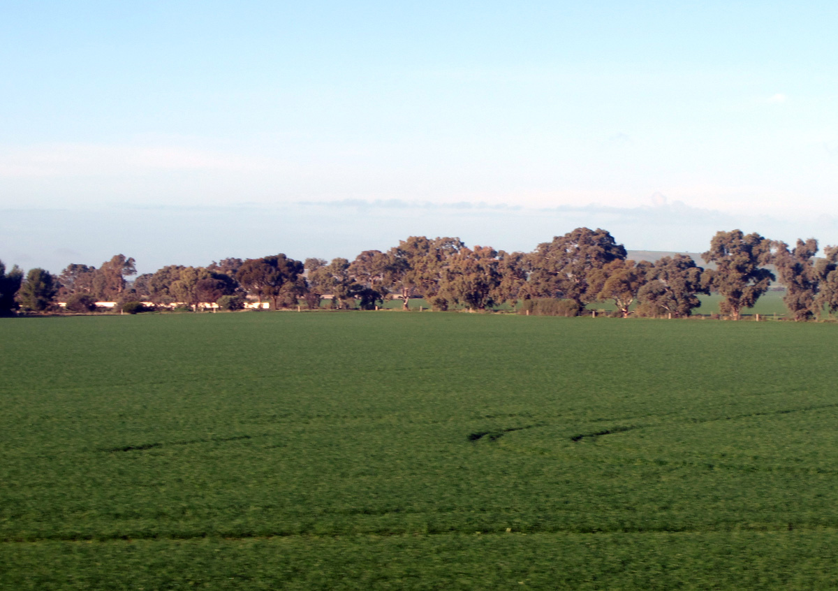 Ghan: Alice to Adelaide, 110 miles North of Adelaide