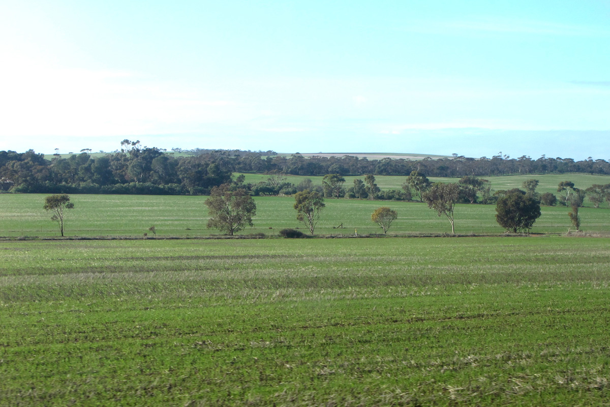 Ghan: Alice to Adelaide, 67 miles North of Adelaide