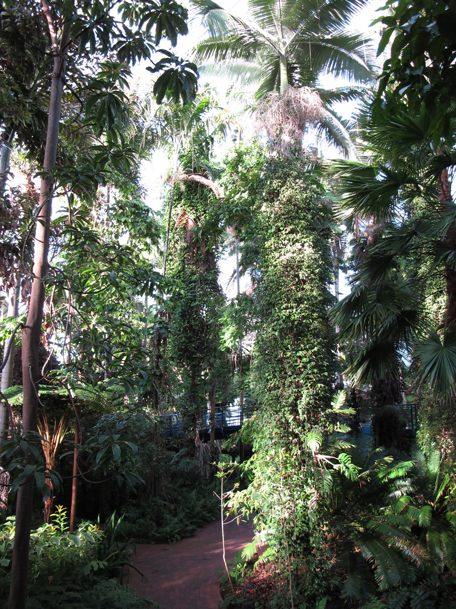 Adwlaide Botanic Gardens