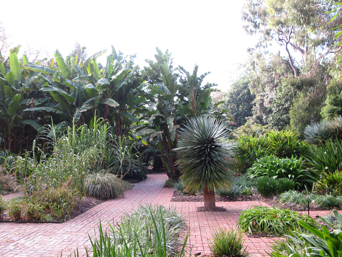 Adwlaide Botanic Gardens, Botanic gardens