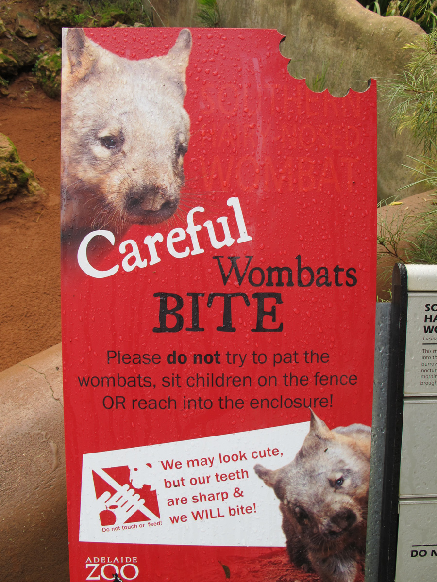 Adelaide Zoo, Wombat warnings, but no wombat.
