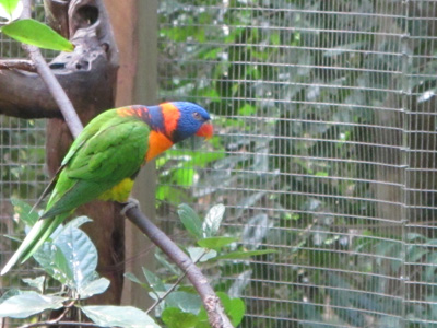 Northern Territory Wildlife Park, 2013 Australia (North-South)