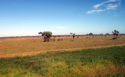 23 miles SE of Darwin, Ghan, 2013 Australia (North-South)