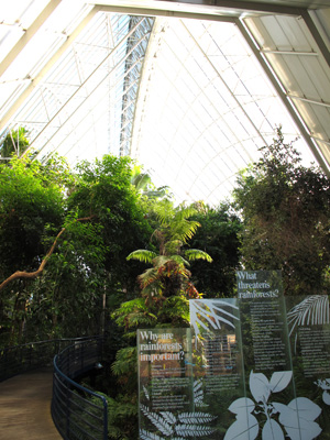 Indoor rain forest! Bicentennial Conservatory, Adwlaide Botanic Gardens, 2013 Australia (North-South)