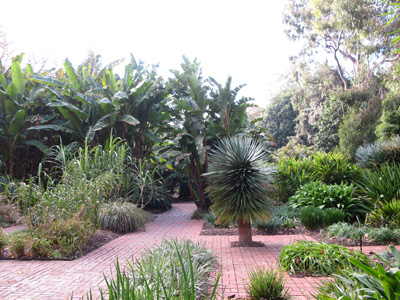 Botanic gardens, Adwlaide Botanic Gardens, 2013 Australia (North-South)