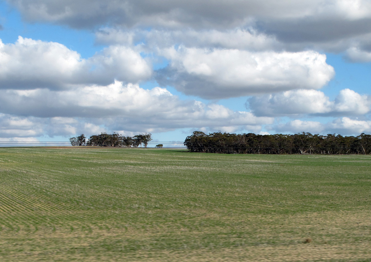 Indian-Pacific, 102 miles East of Perth