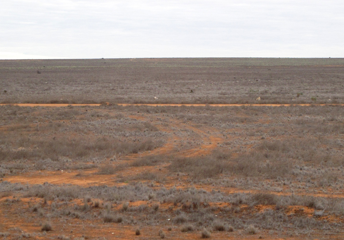 Indian-Pacific, 231 miles West of Cook