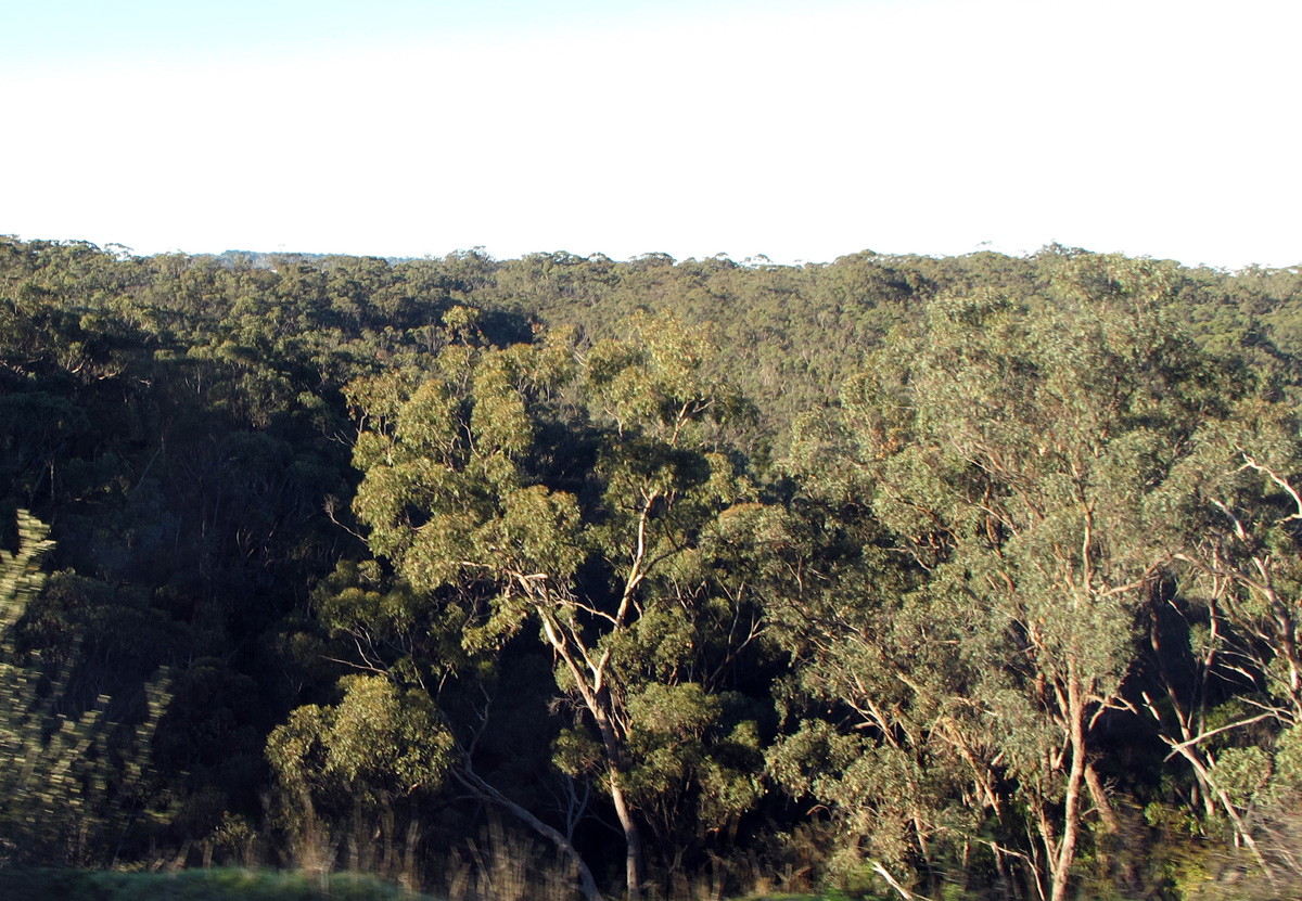 The Overland, 7 miles South of Adelaide