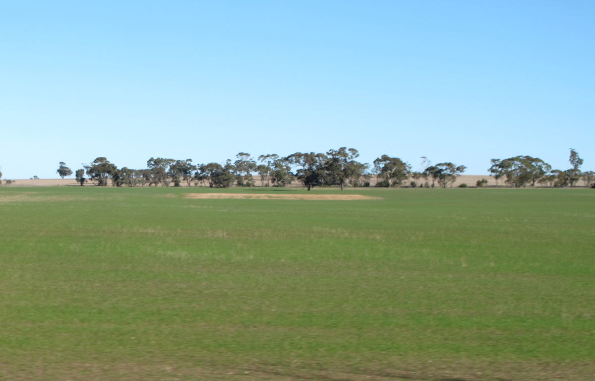 The Overland, 194 miles SE of Adelaide