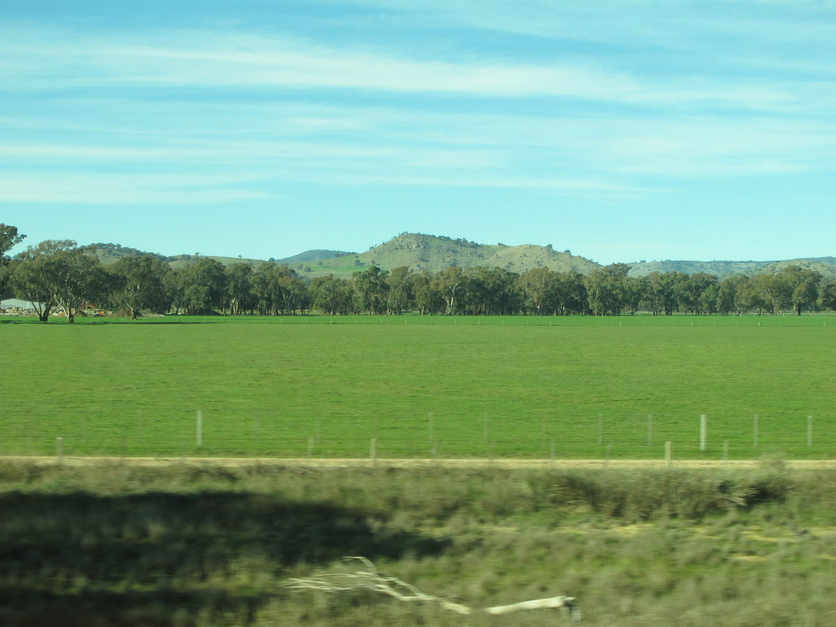 Melbourne to Sydney