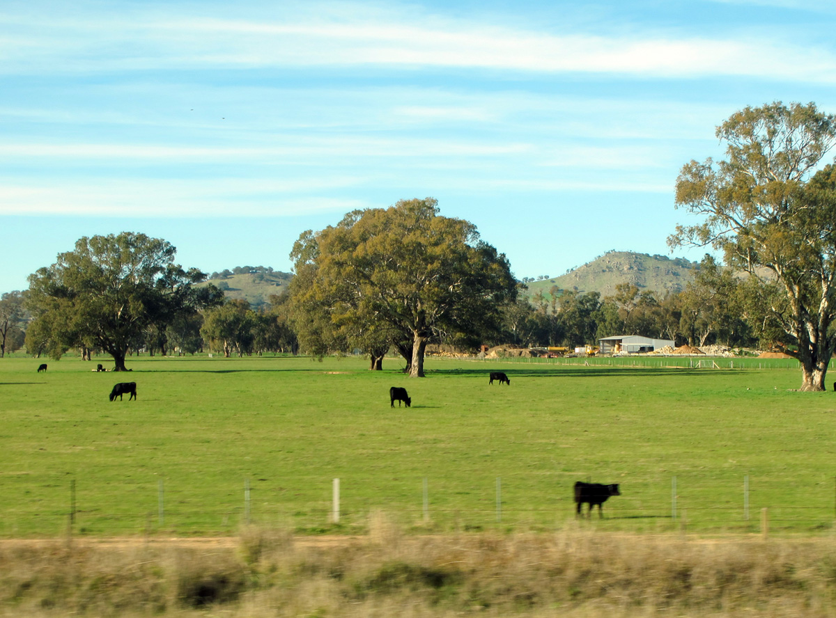 Melbourne to Sydney
