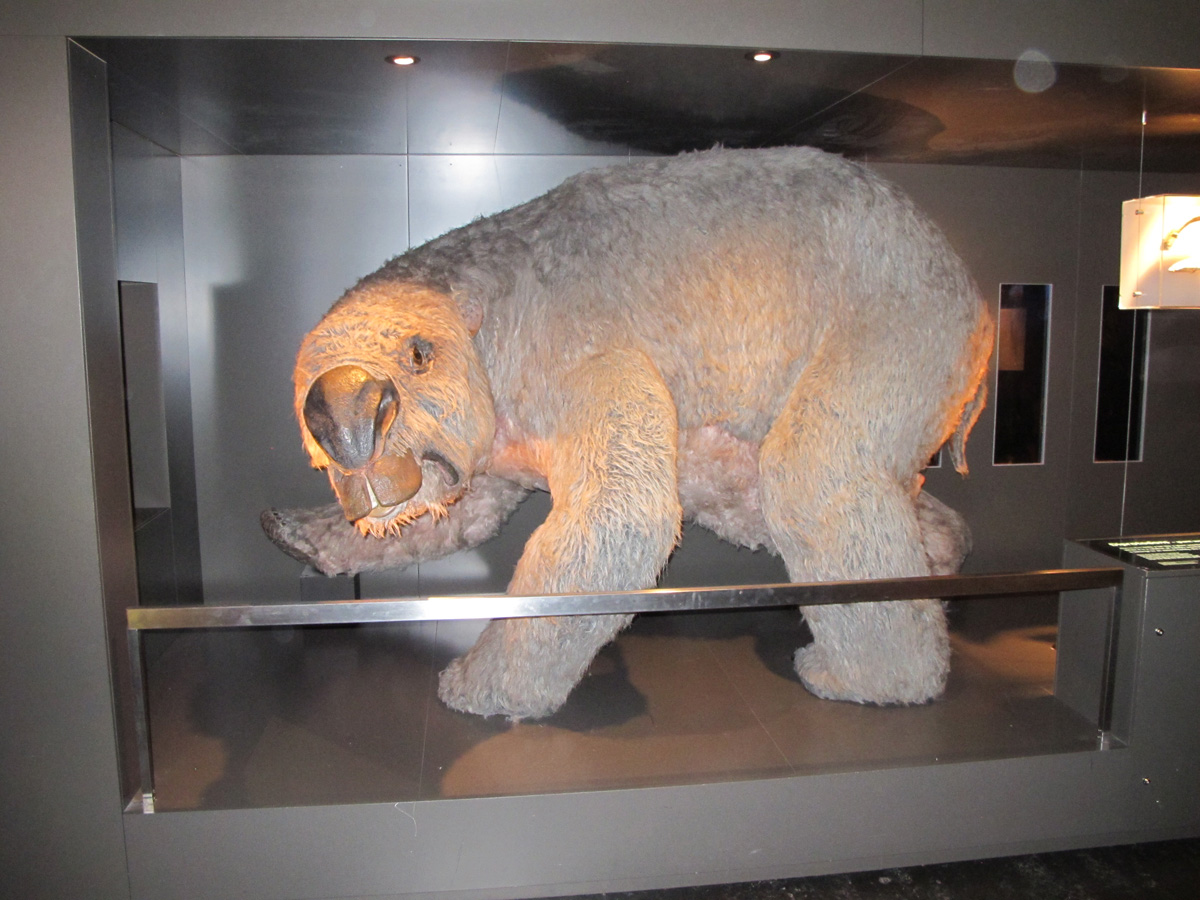 Sydney, Australian Museum: Diprotodon mockup