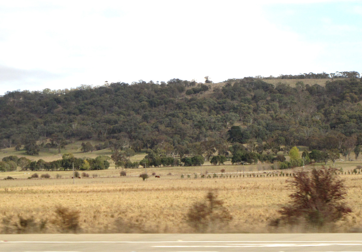 Canberra, 29 miles NE of Canberra