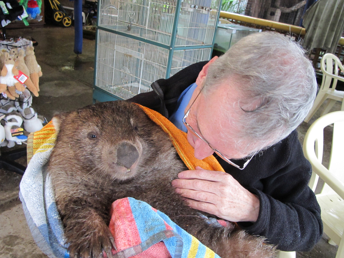 Wombat Quest, Scotsman + Wombat