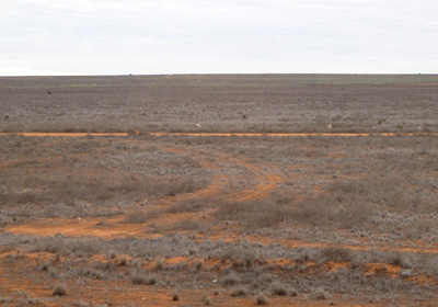 231 miles West of Cook, Indian-Pacific, Australia (West-East)