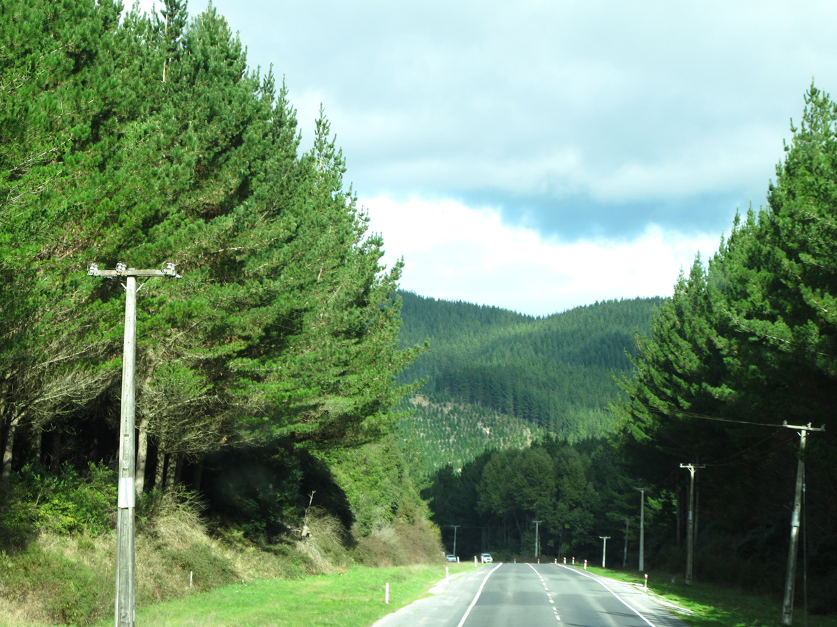 Auckland to Wellington, 121 miles SE of Auckland