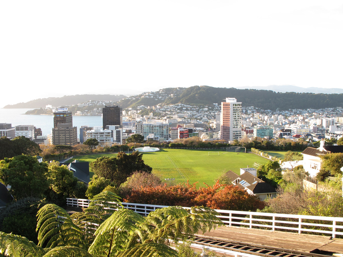 Wellington, Wellington, from Botanic Gardens