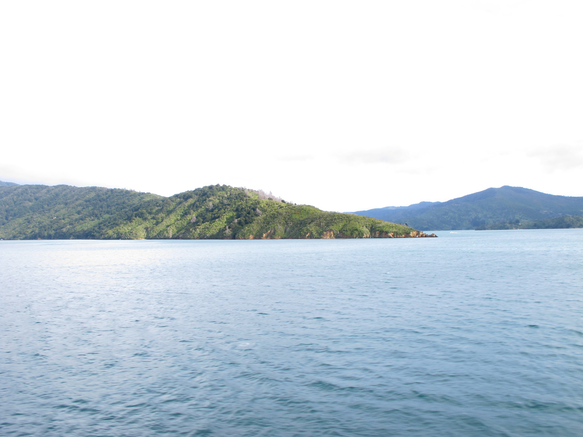 Wellington to Christchurch