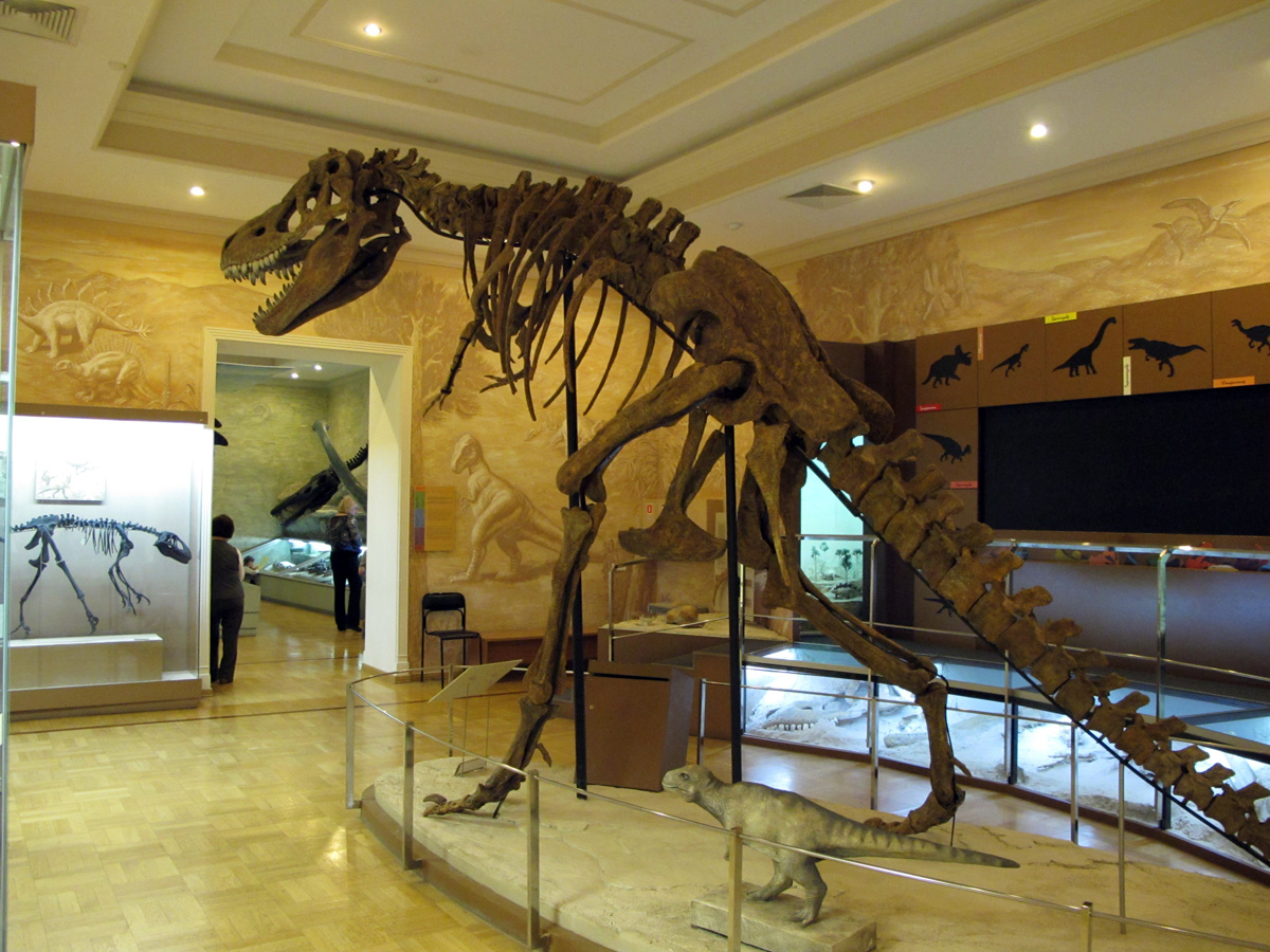 Kazan, Kremlin: Geology Museum