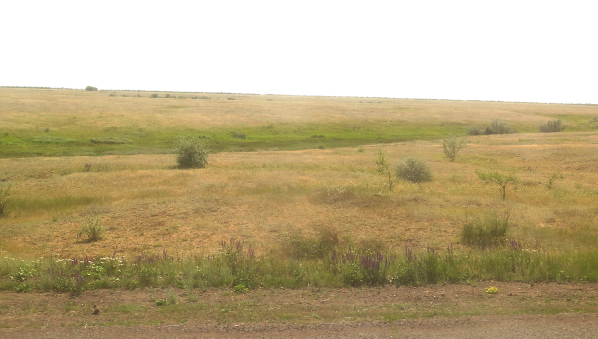 Uralsk, 25 miles East of Uralsk