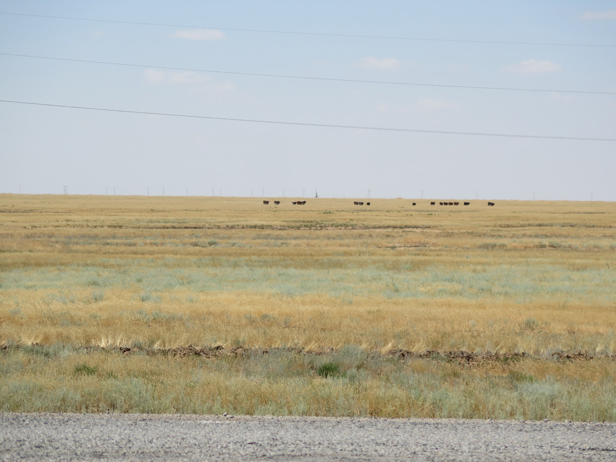 Uralsk, 114 miles South of Uralsk