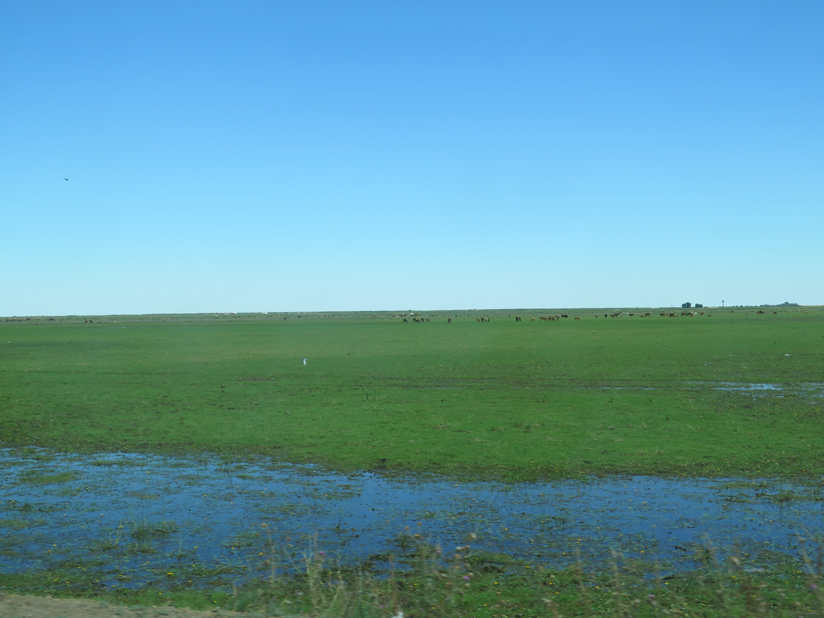 Atyrau, Entering the Volga Delta, 62 miles E of Astrakhan